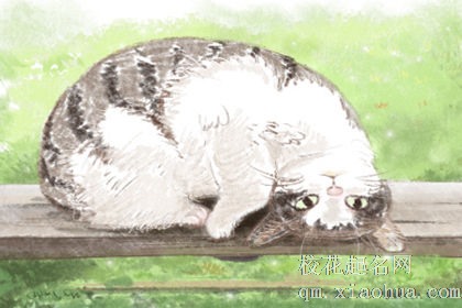 做梦梦见蜈蚣打架是有什么特殊说法？