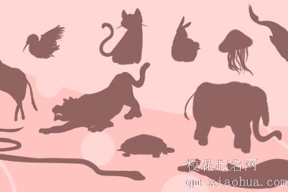 梦见好多动物什么意思