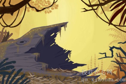 做梦梦见地震大水，要做好应急措施