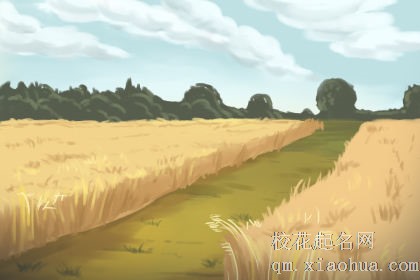 梦见在麦场上碾小麦什么预兆