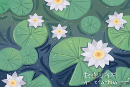 梦到粉色荷花开得正旺有什么征兆