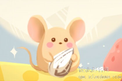 梦见老鼠洞什么意思