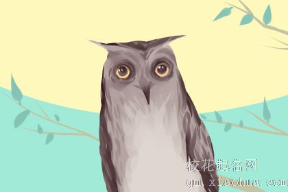 梦见养猫头鹰做宠物是啥意思