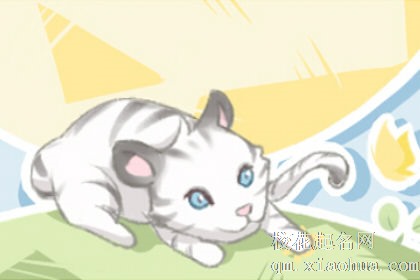 梦见生出的孩子是只猫有什么预兆