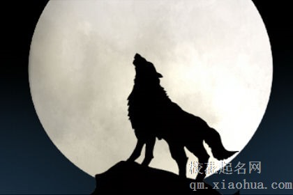 梦见门外有狼想进来是啥意思