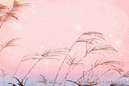 做梦梦见下雪房子塌了，暗示好还是坏