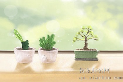 梦见喝酒不醉，预示财位在正东方向