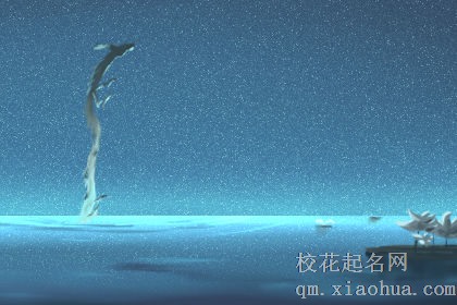 梦见大鲸鱼什么意思