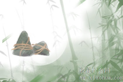 梦见粽子叶是什么预兆