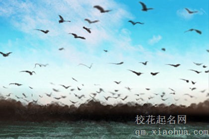 梦境中的颜色能预示什么？