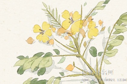 梦见枯萎的植物又活了什么意思