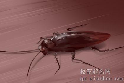 梦见蚂蚁是吉是凶