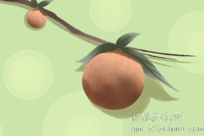 梦见又大又黄的杏子什么意思