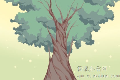 梦见挖土栽树有什么征兆