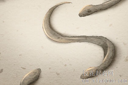 梦见抓泥鳅什么意思