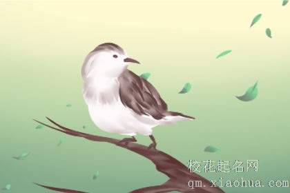 梦见自己用手抓到麻雀有什么预兆