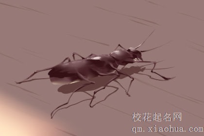 孕妇梦见天牛虫预示什么意思 好不好