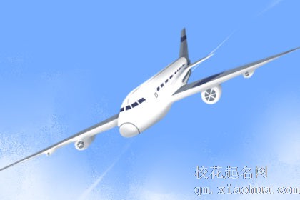 梦见飞机安全迫降水上是什么意思