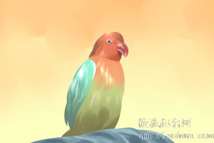 孕妇梦见鹦鹉生男女预示什么意思