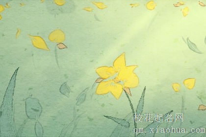 孕妇梦到绿色植物什么意思