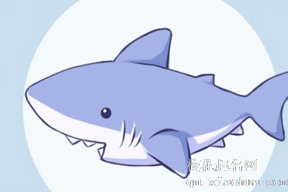 孕妇梦到鲨鱼什么意思