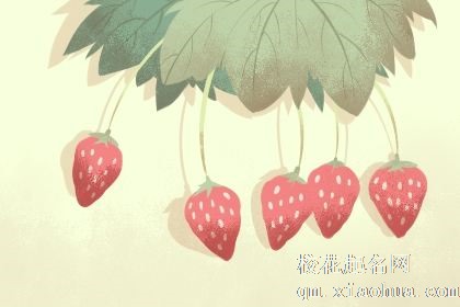 孕妇梦见草莓是什么意思好不好