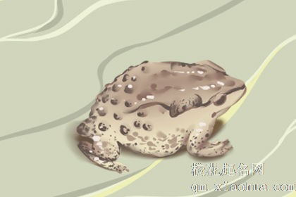 梦见赶走蛤蟆预示什么