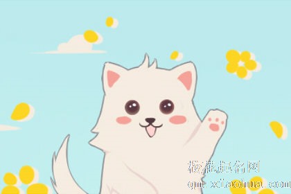 梦见一只特漂亮的猫预示着什么