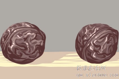 梦见核桃树下捡核桃是什么意思