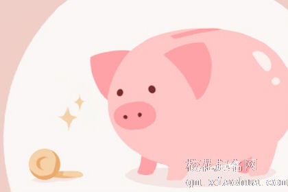 梦见母猪带一窝小猪有什么寓意