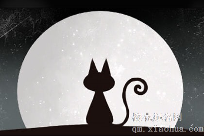 梦见大猫怎么回事