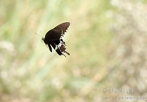 预示死亡的19种梦，能记住梦的人智商多高