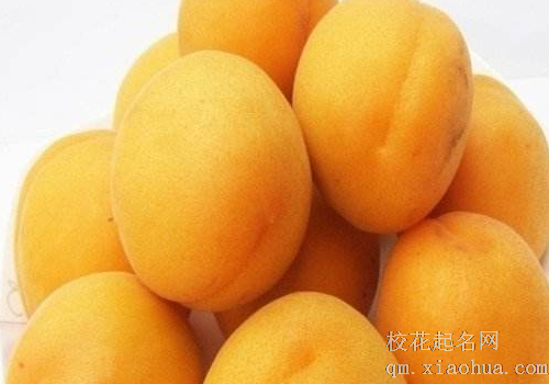 梦见摘杏是什么意思 女人梦见是什么预兆