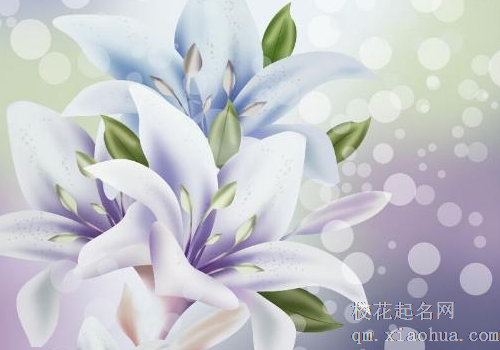 梦见百合花是什么意思 女人梦见盛开好不好