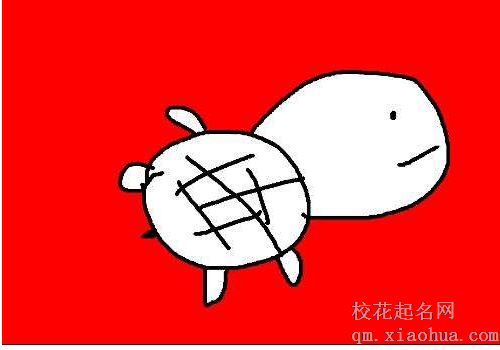 梦见鳖是什么意思 财运婚姻运气怎么样