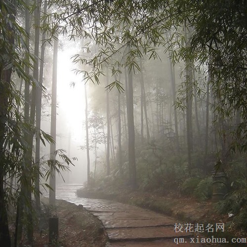 梦见结婚没结成是什么意思 分析周公解梦梦境寓意大全