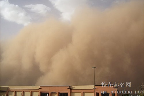 梦见刮沙尘暴