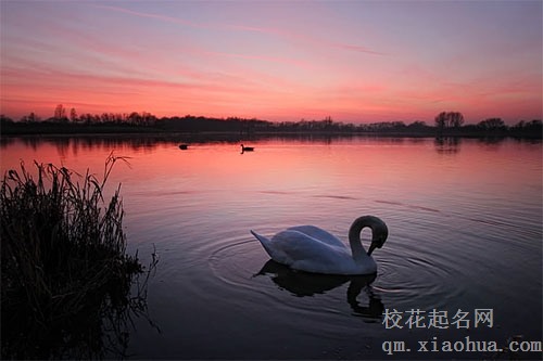 梦见一塘清水是什么意思