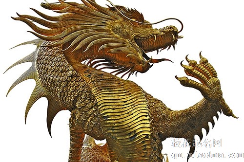 梦见金色的龙在天上飞