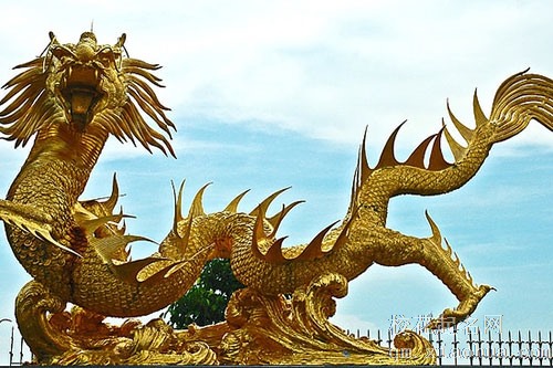 梦见两条龙在水里游