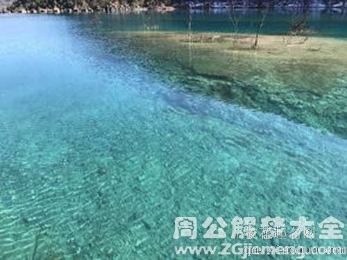 梦见绿色海水