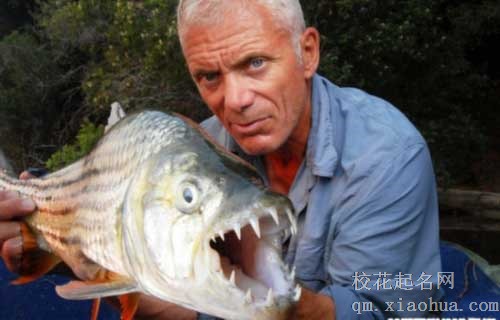 梦见去解救被水怪抓去的女子