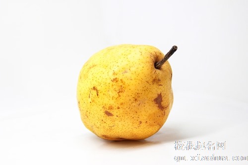 梦见树上苹果梨旁边女人