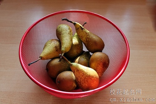 梦见梨老公在梨树下捡梨