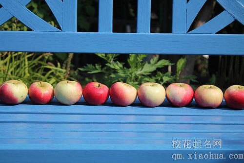 梦见拿了人家三个苹果