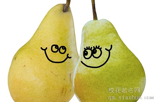 梦见别人给了一个坏梨