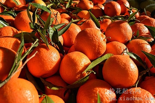 梦见橘子熟透了