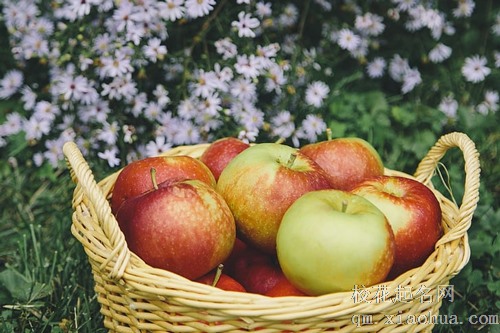 梦见偷别人树上的桃子和苹果