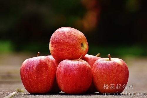 梦见别人送两背包苹果