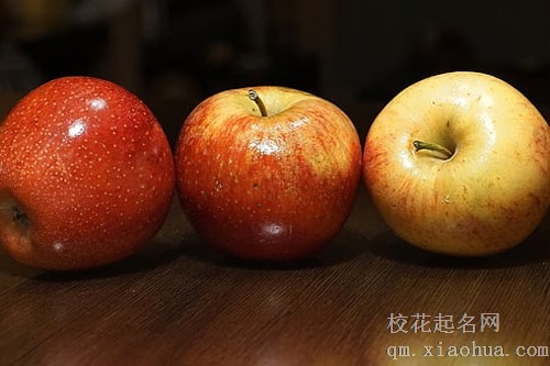 梦见家里的苹果树开花